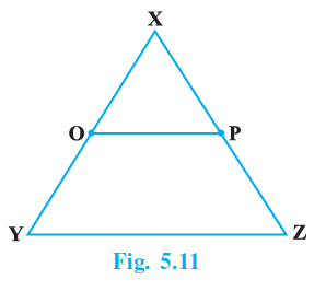 Page 51 Chapter 5 Class 9th NCERT Exemplar